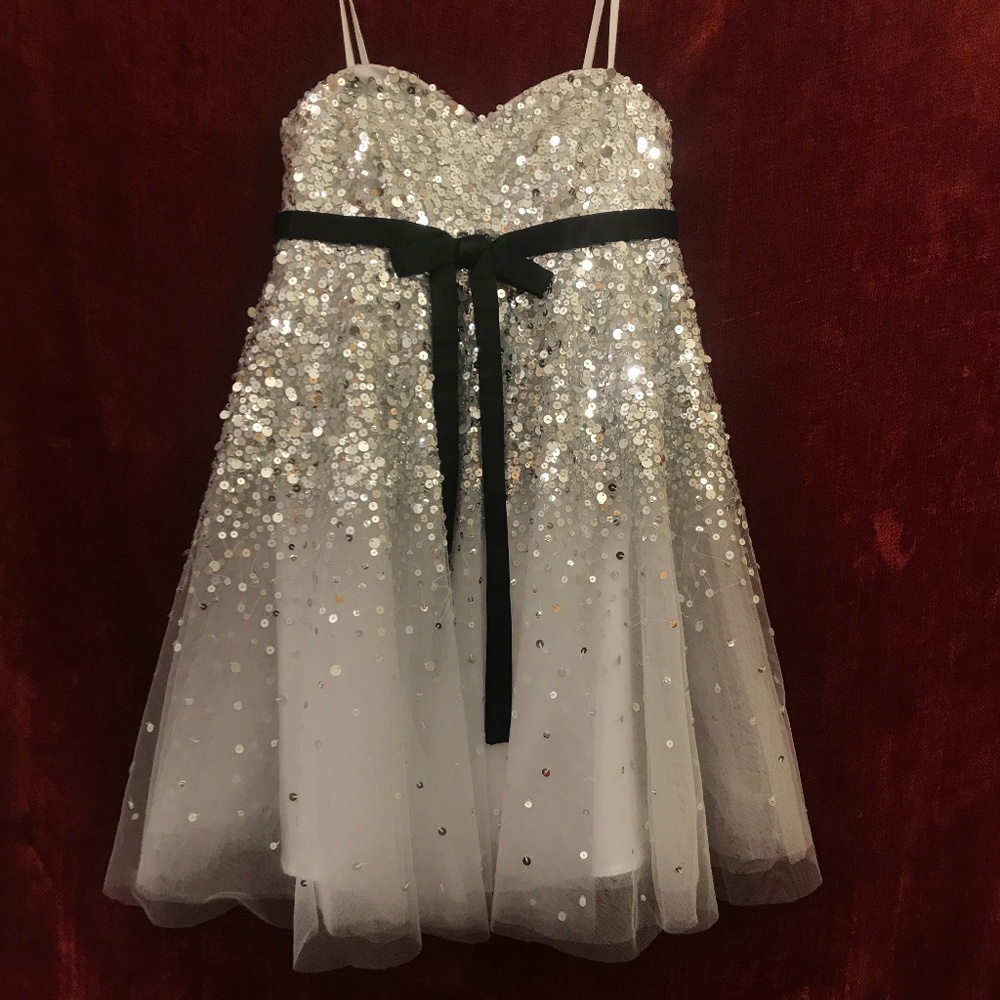 Basix Black Label Sequin Dress